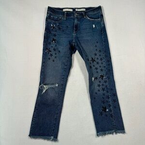 Pilcro & The Letterpress Jeans Women 28 Blue Slim Boyfriend Mid Rise Embroidered